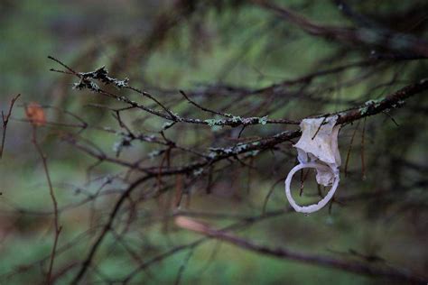 Hämeenlinnan ja Janakkalan rajalta löytyi käytettyjen kondomien。